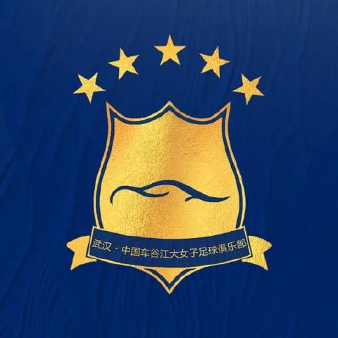 女超聯(lián)賽初季限薪限國腳，車谷江大損失精銳隊員