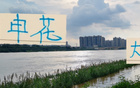 瓦西里離隊(duì)傷申花，進(jìn)攻不足，防守不穩(wěn)。