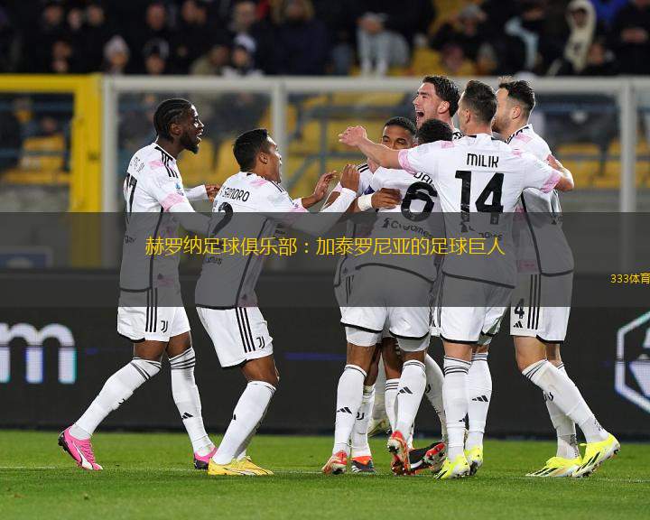 赫羅納足球俱樂(lè)部：加泰羅尼亞的足球巨人