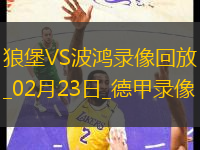 德甲第23輪沃爾夫斯堡1-1波鴻