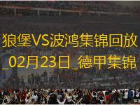 德甲-馬索維奇破門斯萬(wàn)貝里扳平沃爾夫斯堡1-1戰(zhàn)平波鴻