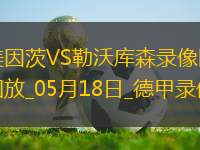 德甲第34輪勒沃庫森2-2美因茨