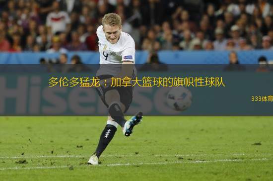 多倫多猛龍：加拿大籃球的旗幟性球隊