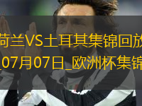 07月07日歐洲杯1/4決賽荷蘭vs土耳其精彩片段