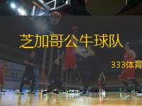 芝加哥公牛球隊(duì)