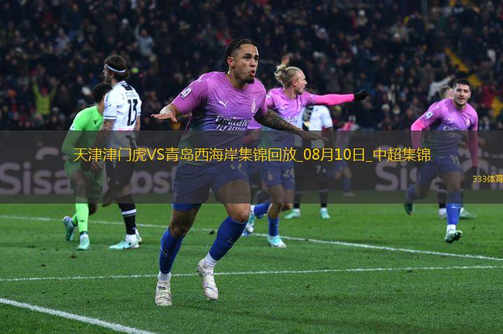 中超第20輪天津津門(mén)虎vs青島西海岸精彩片段