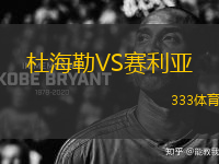 杜海勒VS賽利亞