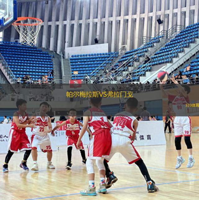 帕爾梅拉斯VS弗拉門戈