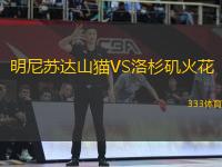 明尼蘇達(dá)山貓VS洛杉磯火花