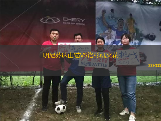 明尼蘇達(dá)山貓VS洛杉磯火花