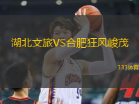 湖北文旅VS合肥狂風峻茂
