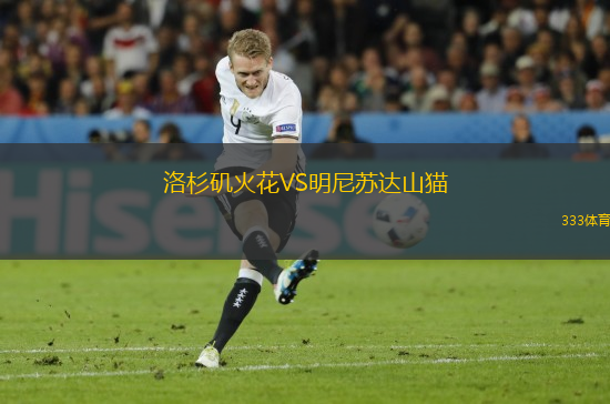 洛杉磯火花VS明尼蘇達(dá)山貓