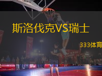 斯洛伐克VS瑞士