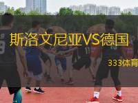 斯洛文尼亞VS德國