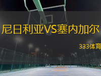 尼日利亞VS塞內(nèi)加爾