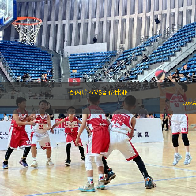 委內(nèi)瑞拉VS哥倫比亞