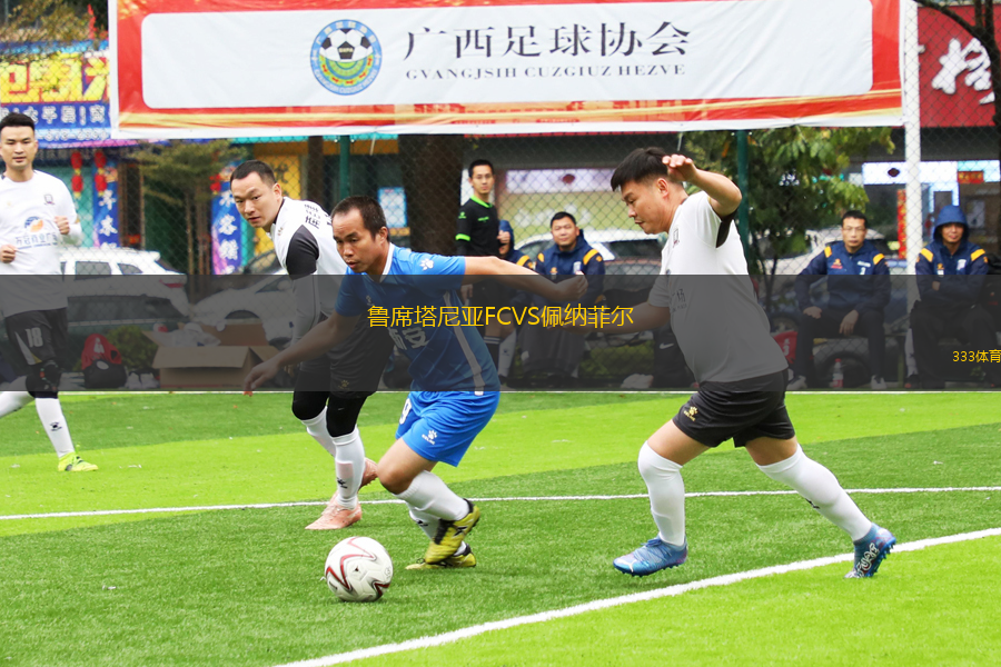 魯席塔尼亞FCVS佩納菲爾