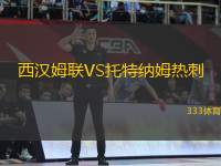 西漢姆聯(lián)VS托特納姆熱刺