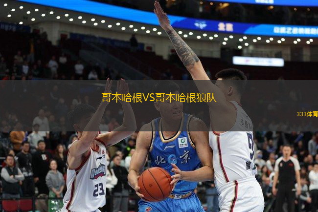 哥本哈根VS哥本哈根狼隊