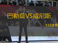 巴勒莫VS威尼斯