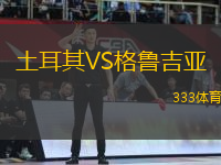 土耳其VS格魯吉亞