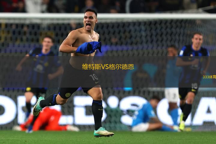維特斯VS格爾德恩