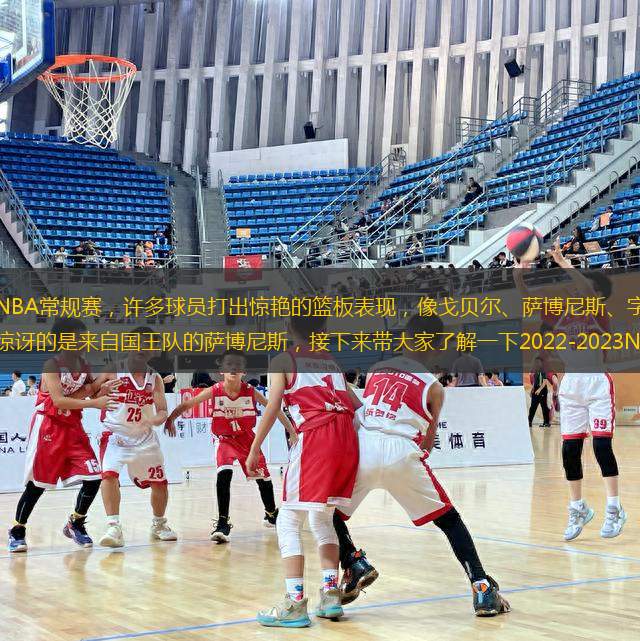 2022-2023賽季NBA常規(guī)賽，許多球員打出驚艷的籃板表現(xiàn)，像戈貝爾、薩博尼斯、字母哥等等。但是籃板方面最讓人驚訝的是來(lái)自國(guó)王隊(duì)的薩博尼斯，接下來(lái)帶大家了解一下2022-2023NBA常規(guī)賽籃板榜