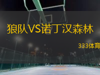 狼隊(duì)VS諾丁漢森林