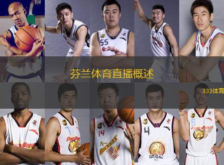 芬蘭體育直播概述