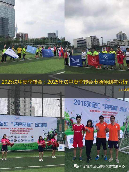 2025法甲夏季轉(zhuǎn)會(huì)：2025年法甲夏季轉(zhuǎn)會(huì)市場(chǎng)預(yù)測(cè)與分析