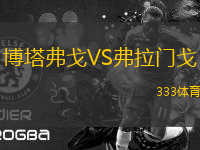 博塔弗戈VS弗拉門戈