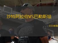沙特阿拉伯VS巴勒斯坦