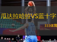 瓜達(dá)拉哈拉VS藍(lán)十字