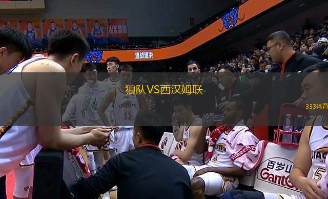 狼隊VS西漢姆聯(lián)