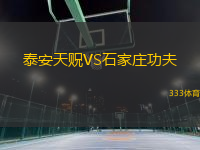 泰安天貺VS石家莊功夫