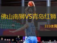 佛山南獅VS青島紅獅
